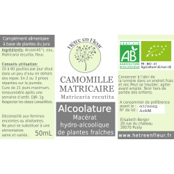Camomille matricaire