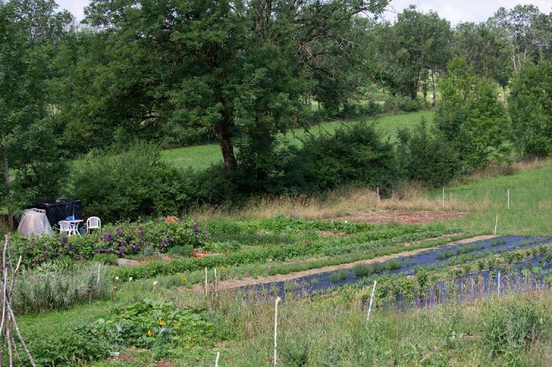 jardin hêtre en fleur