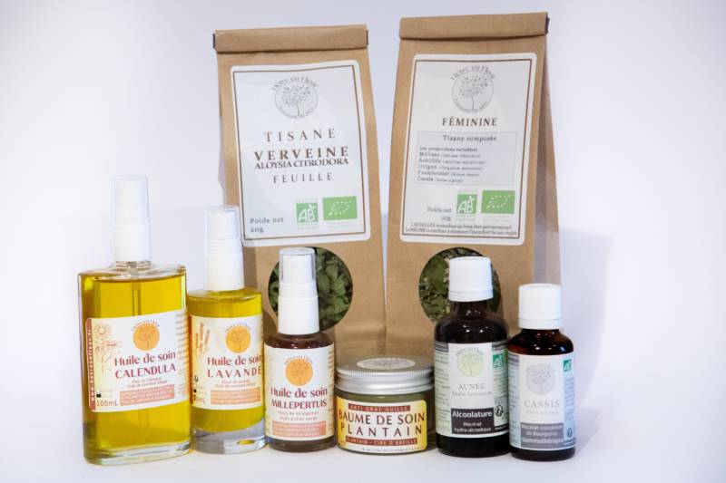 boutique produits plantes Hêtre en Fleur