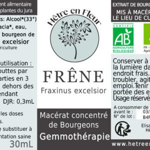 gemmothérapie frêne hêtre en fleur