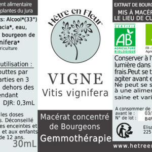 gemmothérapie vigne hêtre en fleur