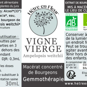 gemmothérapie vigne vierge hêtre en fleur