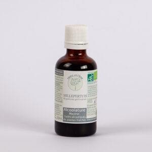 alcoolature millepertuis hêtre en fleur