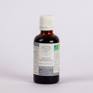 alcoolature sauge officinale hêtre en fleur
