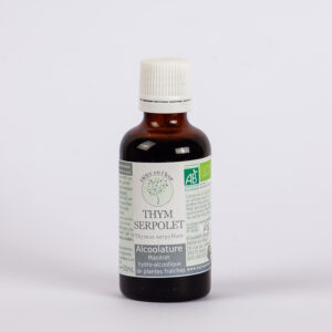 alcoolature thym serpolet hêtre en fleur