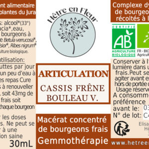 complexe articulation hêtre en fleur