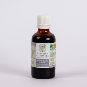 verveine citronnée hêtre en fleur