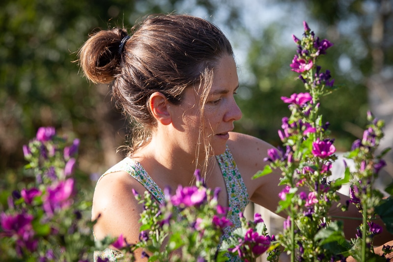 Hêtre en fleur